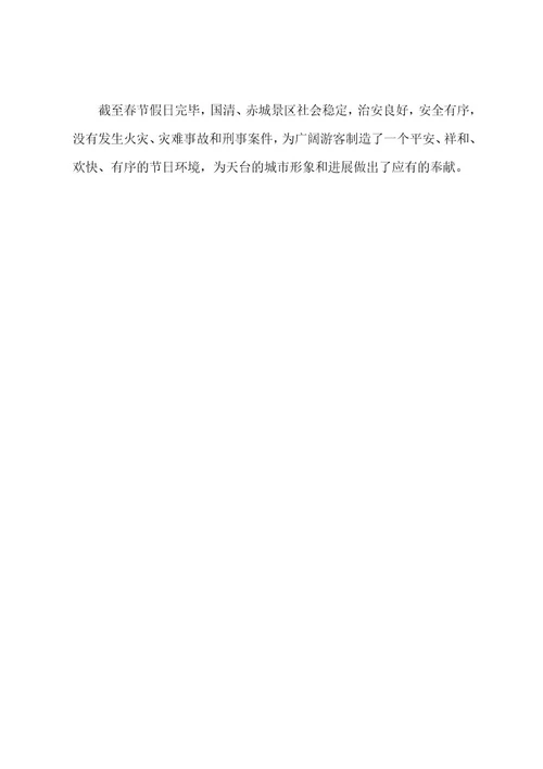 春节安保工作总结