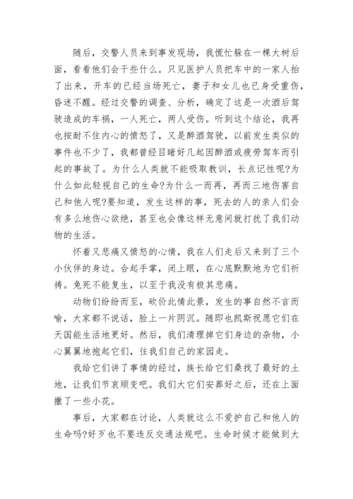 交通安全讲座稿子 交通安全讲座稿(十二篇).docx