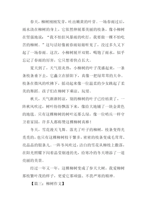 描写柳树作文.docx