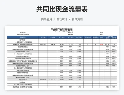 共同比现金流量表
