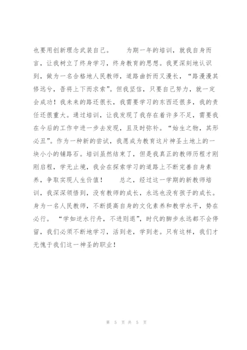 新教师培训工作总结范文.docx