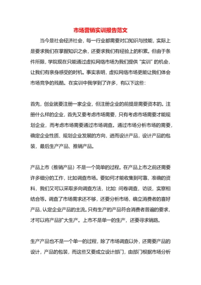 市场营销实训报告范文.docx