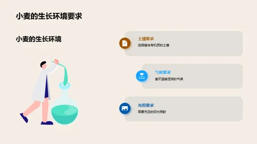 小麦科学种植法