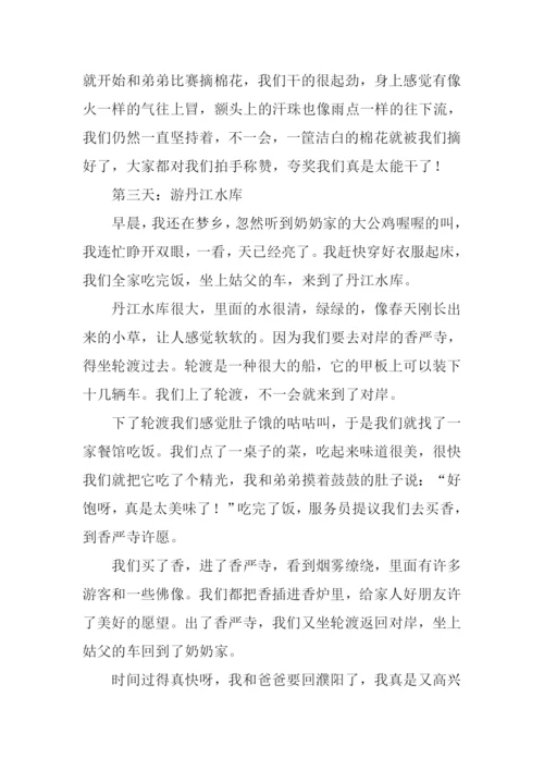 快乐的假日作文.docx