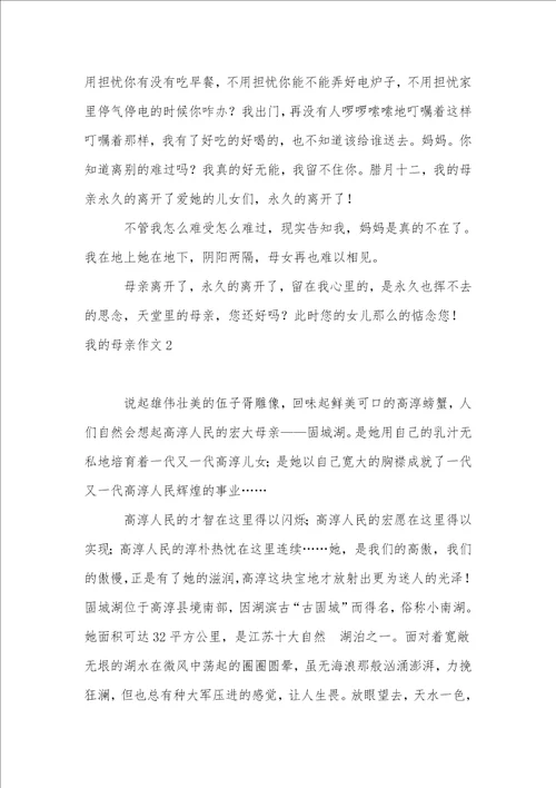 我的母亲作文精选15篇