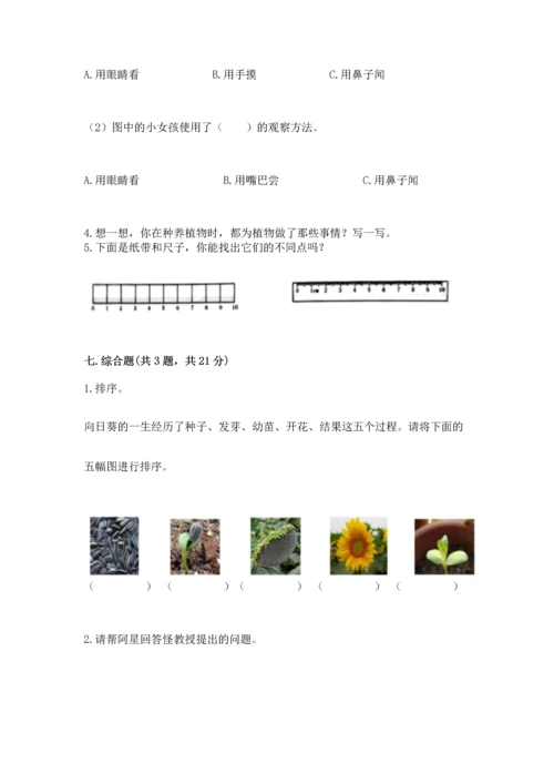 教科版科学一年级上册期末测试卷【全国通用】.docx