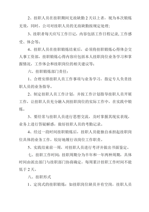 事业单位人员挂帅集体经济公司方案.docx