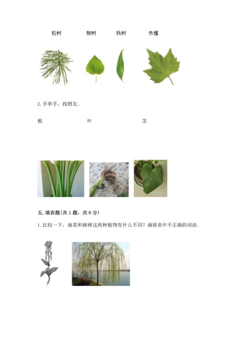 教科版科学一年级上册第一单元《植物》测试卷含完整答案【典优】.docx