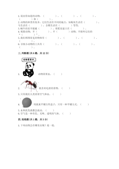 教科版小学科学一年级下册期末测试卷【有一套】.docx
