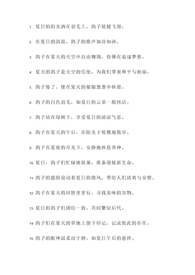 有鸽子的夏天名言警句