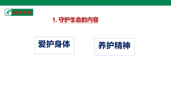 新课标七上第四单元生命的思考复习课件2023