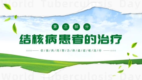 绿色简约世界防治结核病日你我共同努力终结结核流行PPT课件