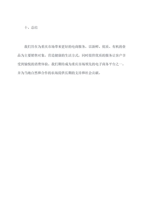重庆电商创业计划书