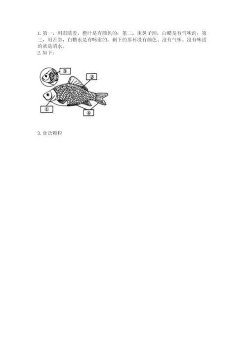 教科版一年级下册科学期末测试卷带答案（精练）.docx