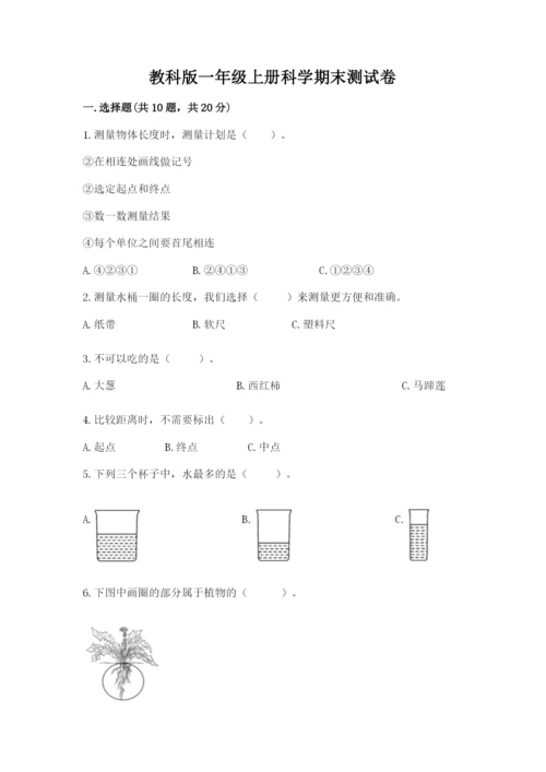 教科版一年级上册科学期末测试卷a4版.docx