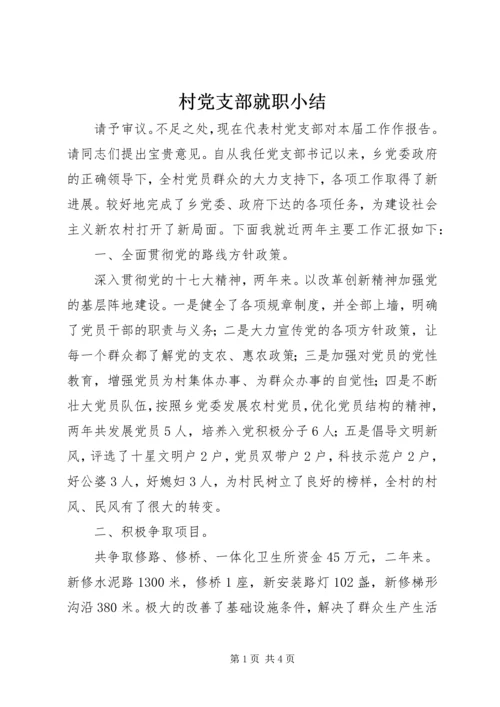 村党支部就职小结.docx