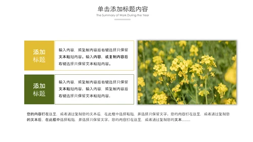 春天乡村旅游油菜花风景油菜花田PPT模板