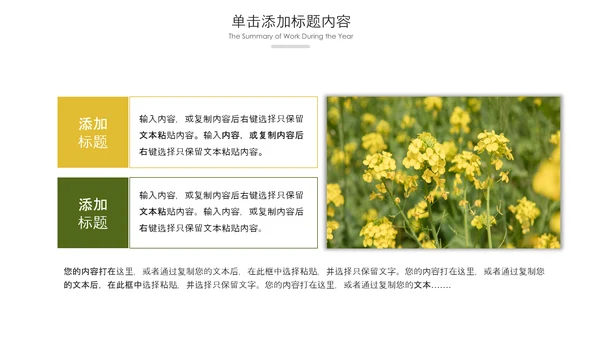 春天乡村旅游油菜花风景油菜花田PPT模板