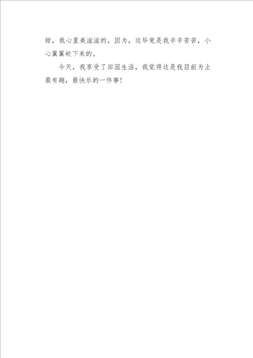 六年级作文快乐之记500字