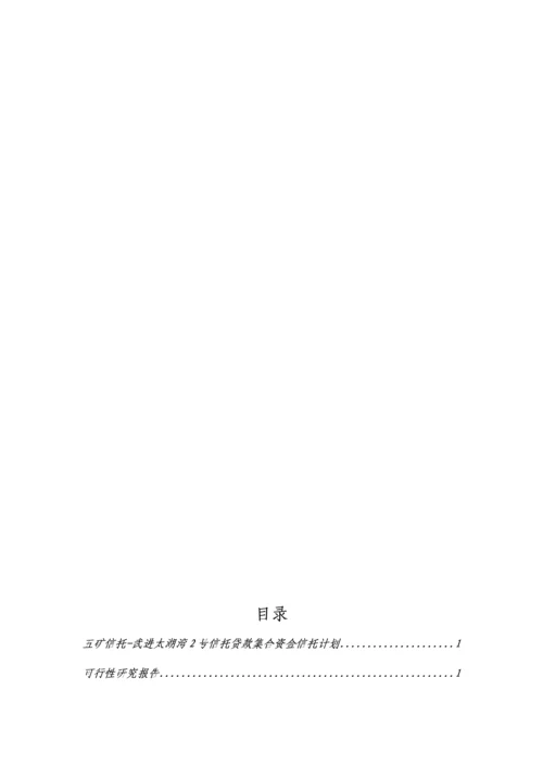 信托贷款集合资金信托计划可行性研究报告.docx