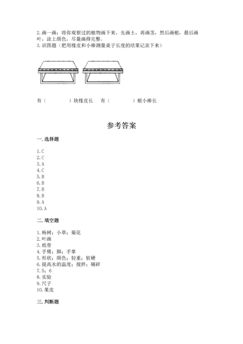 教科版一年级上册科学期末测试卷加答案下载.docx