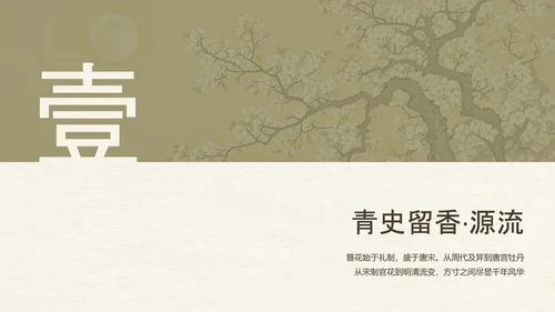 黄绿色简约中国风传统文化簪花介绍