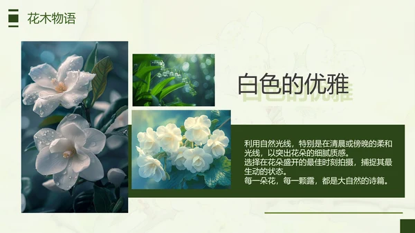 绿色简约风摄影师个人作品集PPT模板