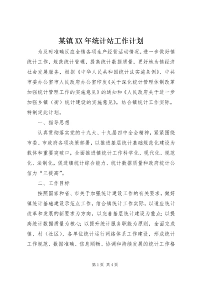 某镇XX年统计站工作计划.docx