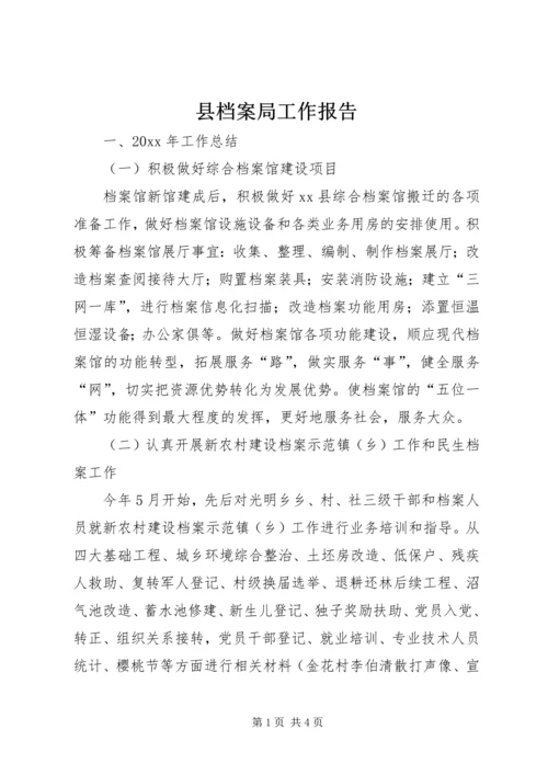 县档案局工作报告 (6).docx