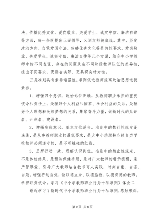 学习《新时代中小学教师职业行为十项准则》心得体会4篇.docx