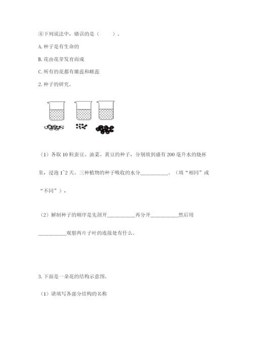 教科版四年级下册科学第一单元《植物的生长变化》测试卷精品（b卷）.docx