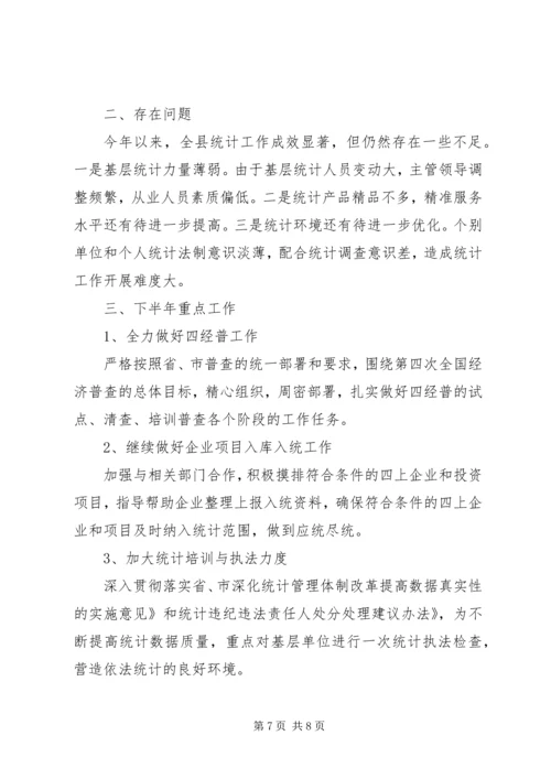 统计局XX年上半年工作总结及下半年工作安排 (2).docx