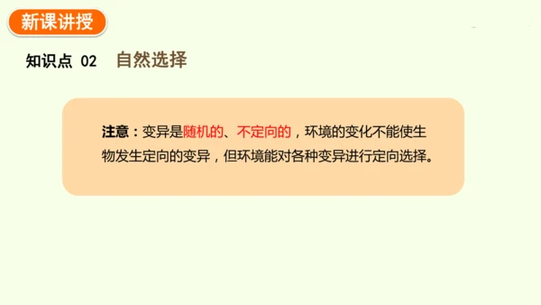 7.3.3生物进化的原因-八年级生物人教版下学期同步精品课件(共44张PPT)