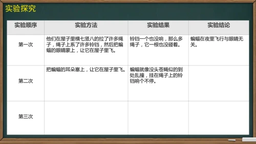 6 夜间飞行的秘密（课件）