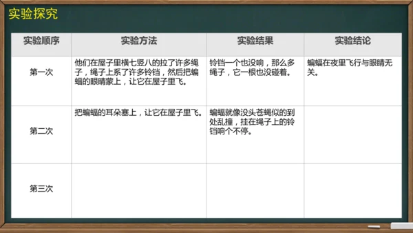 6 夜间飞行的秘密（课件）