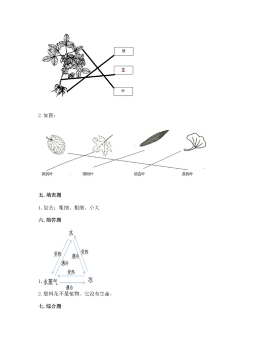 教科版科学一年级上册第一单元《植物》测试卷含答案【模拟题】.docx