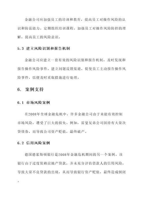 金融公司风险防控方案