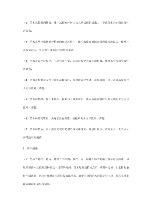 乔木种植方案.docx