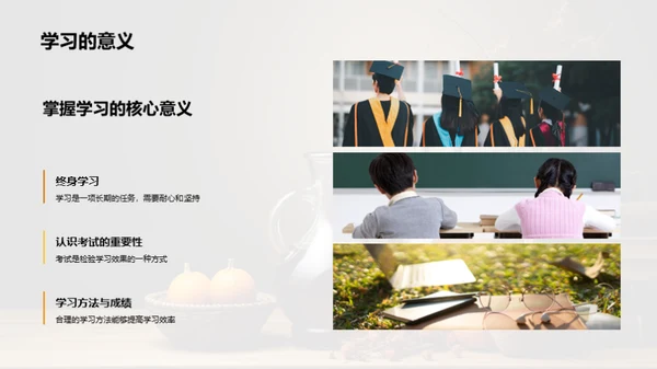 学习策略解析