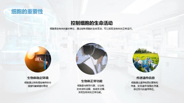 生命之源：细胞揭秘