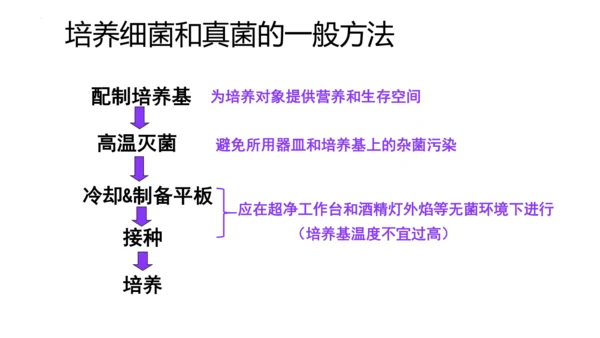 人教版生物八年级上册5.4.1《细菌和真菌的分布》课件(共22张PPT)
