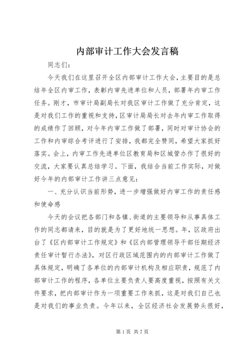 内部审计工作大会发言稿.docx