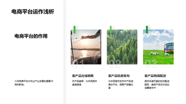 农业电商崭新篇章