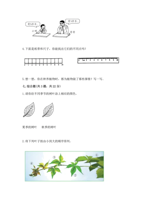 教科版一年级上册科学期末测试卷精品（模拟题）.docx