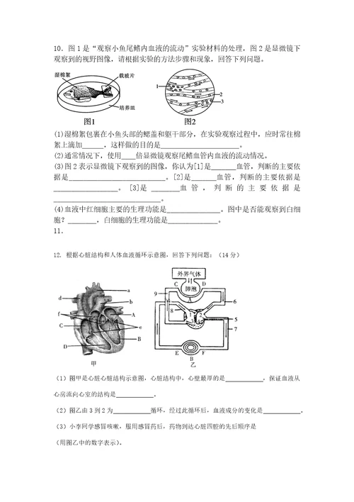 七下生物重点题型练习