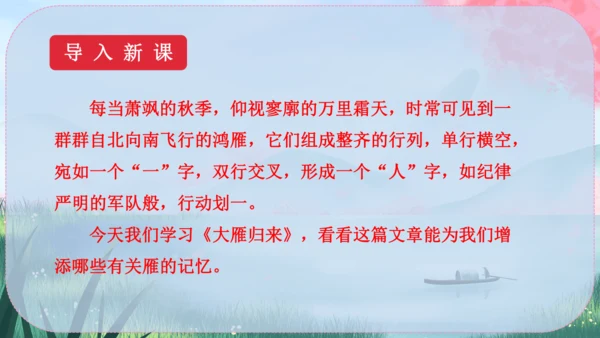 19《大雁归来》课件