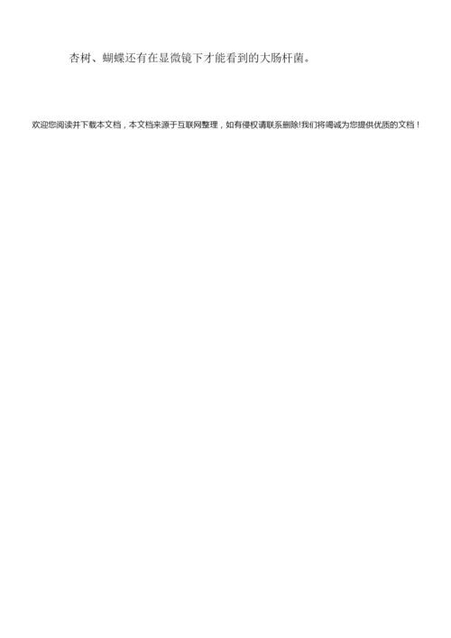 [生物的基本特征教案]生物的基本特征013852.docx
