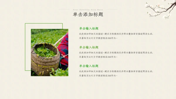茶叶茶艺茶道春茶绿茶农村旅游茶园茶文化ppt