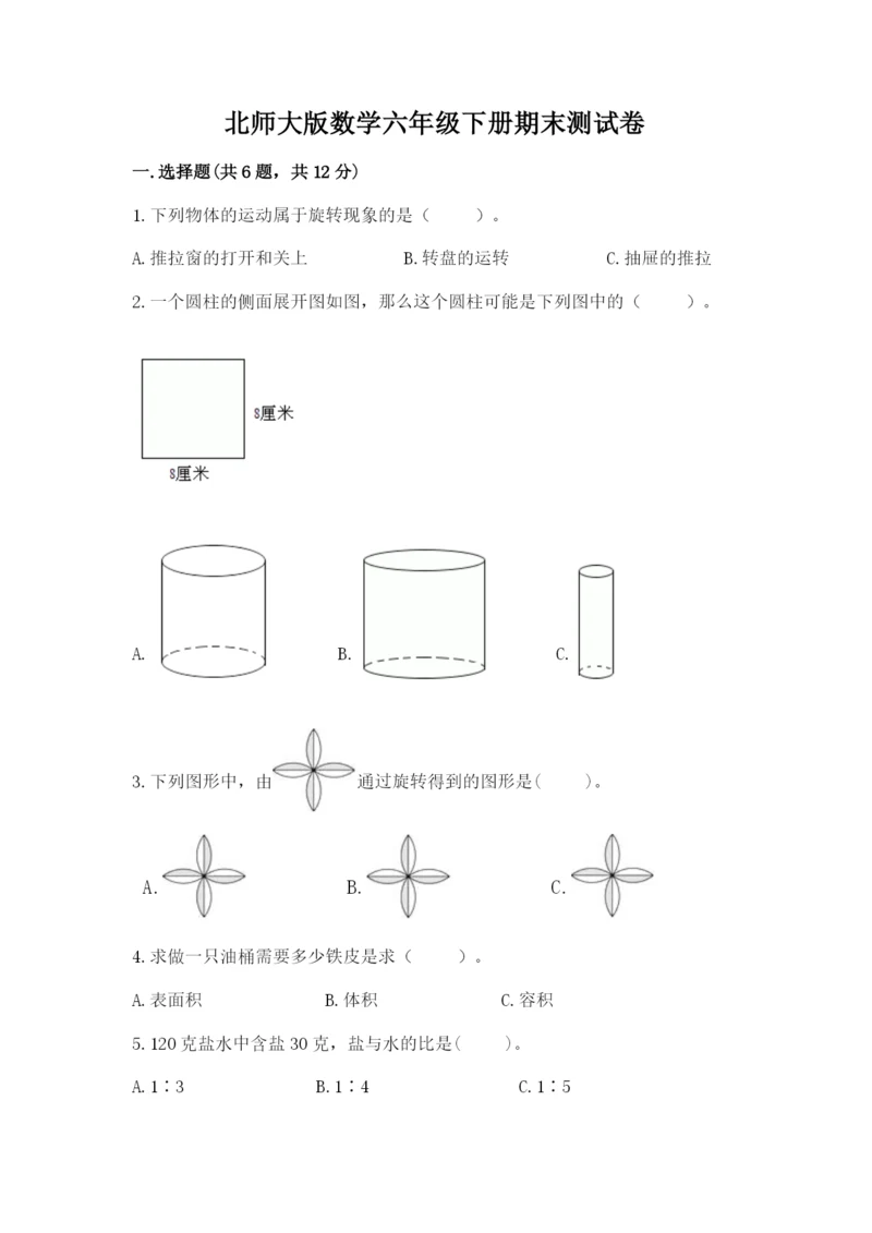 北师大版数学六年级下册期末测试卷精品加答案.docx