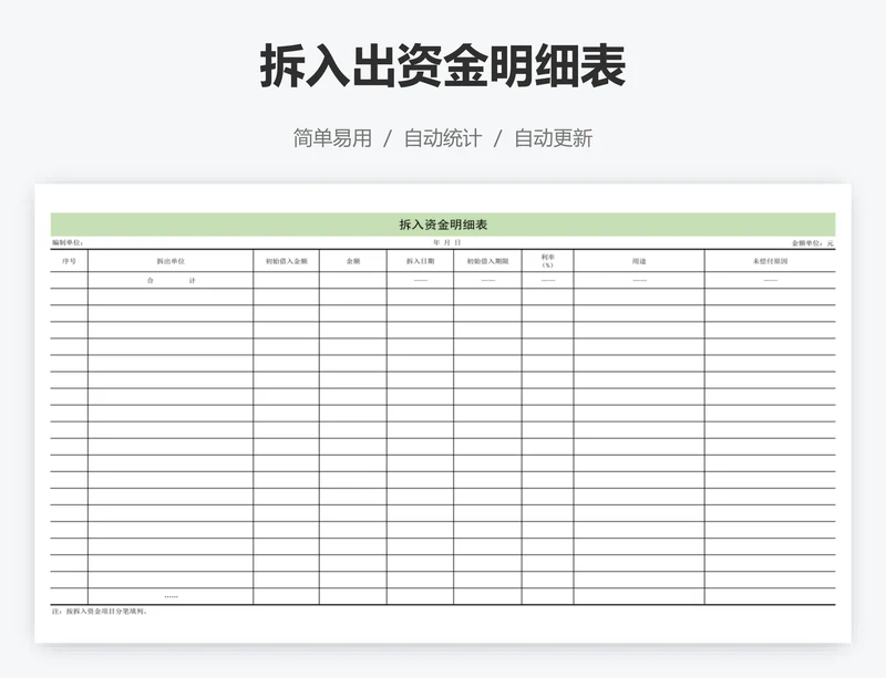 拆入出资金明细表